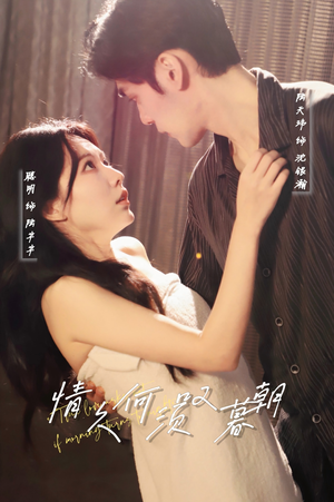 《情久何须叹暮朝》（61集）短剧完整剧情免费追