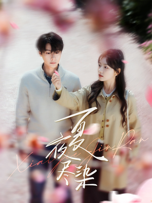 《夏夜尽染》（80集）一口气追完精彩短剧