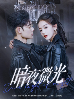 《暗夜微光》（86集）短剧免费全集看个过瘾