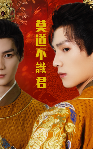 《莫道不识君》（63集）在线追短剧全集畅享