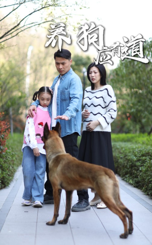 《养狗应有道》（60集）免费看短剧完整版全集