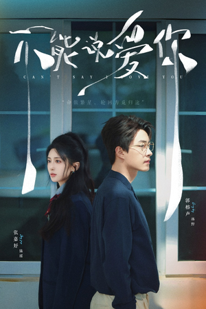 《不能说爱你》（64集）看短剧全集过足戏瘾