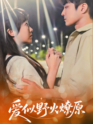 《爱似野火燎原》（47集）在线看短剧全集不卡