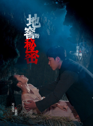 《地窖的秘密》（40集）在线畅享短剧精彩看