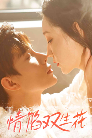 《情陷双生花》（30集）免费短剧在线一览无余