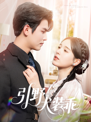 《引野犬装乖》（61集）免费短剧全集在线速追