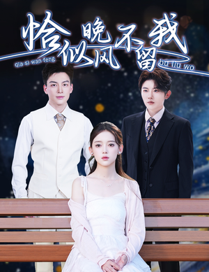 《弃他如风》（51集）免费短剧在线随心看