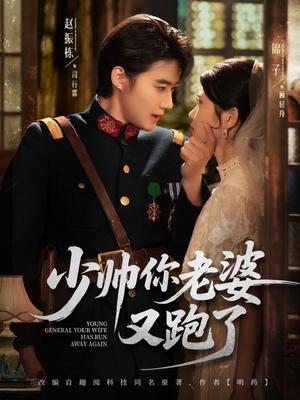 《少帅你老婆又跑了》（82集）热门短剧全集免费畅看