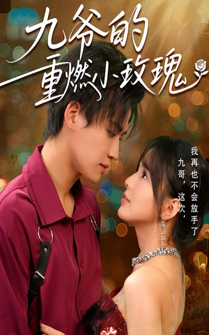 《九爷的重燃小玫瑰》（67集）短剧全集免费在线看