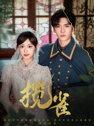 《揽雀》（61集）看短剧全集畅享不停歇