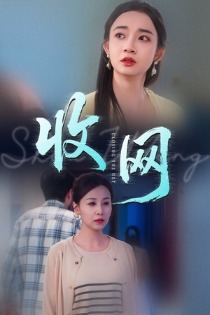 《收网》（60集）短剧免费在线看全剧