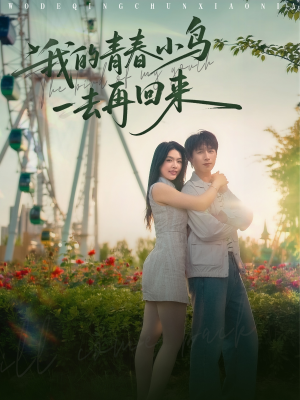 《我的青春小鸟一去再回来》（95集）免费看短剧全集超带感