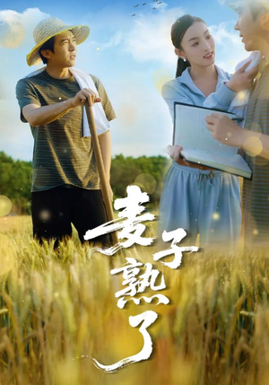 《麦子熟了》（52集）在线短剧畅享全集盛宴