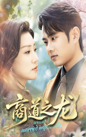 《商道之龙》（65集）免费短剧在线全集速追