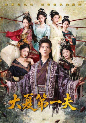 《大夏第一夫》（90集）畅享短剧全集在线看