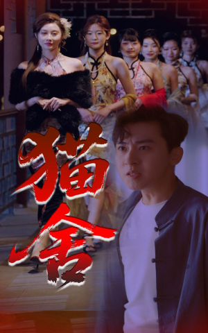 《猫舍》（34集）在线短剧精彩剧情抢先看