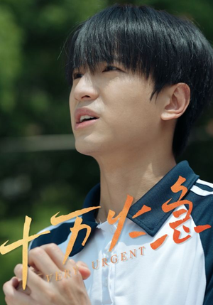 《十万火急》（30集）精彩短剧在线速追