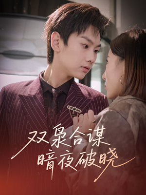 《双枭合谋暗夜破晓》（30集）短剧在线一追到底