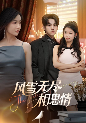 《风雪无尽相思情》（61集）免费看短剧全集不间断