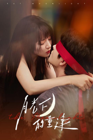 《月光下的重逢》（54集）在线免费短剧尽情看