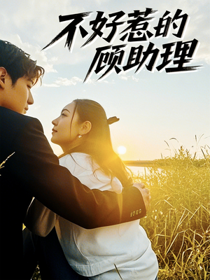 《不好惹的顾助理》（67集）免费在线短剧全集追