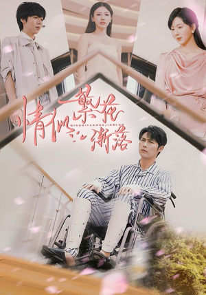 《情似繁花渐落》（62集）短剧全集免费畅快追