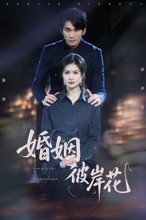 《婚姻彼岸花》（63集）短剧完整剧情随心看