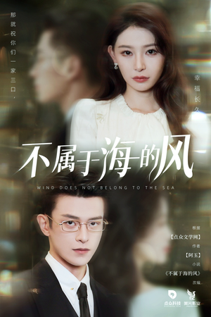 《不属于海的风》（40集）短剧免费全集在线速追
