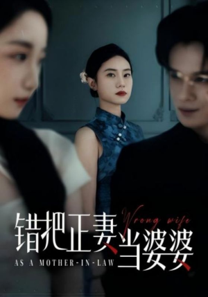 《错把正妻当婆婆》（46集）短剧免费畅享全集追