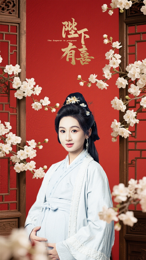 《陛下有喜》（59集）短剧佳作一次看个够