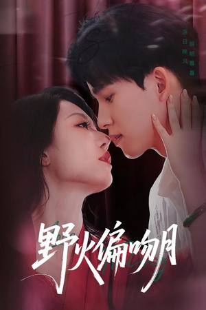 《野火偏吻月》（51集）短剧在线免费追到底