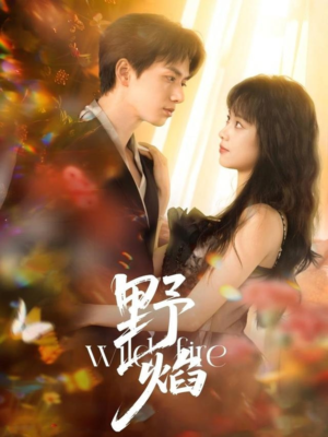 《野焰》（60集）看短剧全集快乐加倍