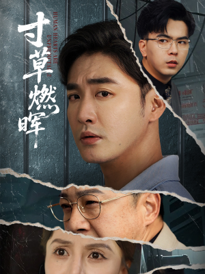 《寸草燃晖》（70集）超燃短剧在线全集追完