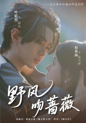《野风吻蔷薇》（78集）追短剧不停歇全集速看
