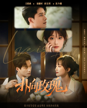 《扑向玫瑰》（77集）免费短剧精彩一集不落