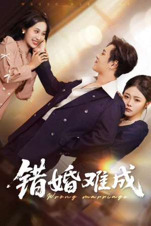 《错婚难成》（45集）短剧爆款剧情在线追不停