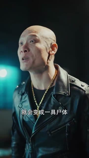 《双龙逆战》（89集）全集短剧免费在线追