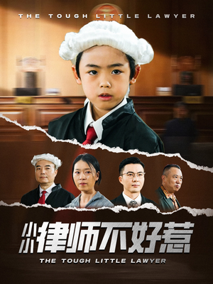 《小小律师不好惹》（82集）一口气追完短剧全集