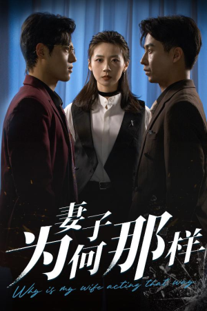 《妻子为何那样》（60集）在线看短剧全集过瘾