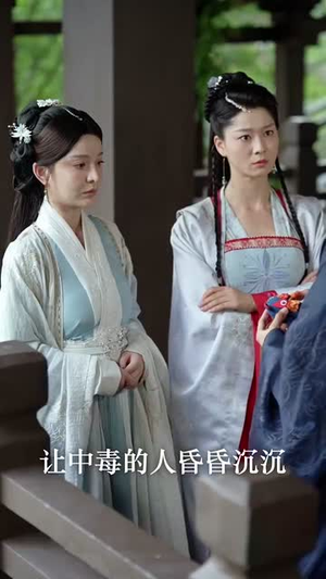 《双凤行》（70集）免费短剧全集一追到底