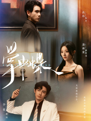 《掌中蝶》（84集）在线免费短剧全集尽情看