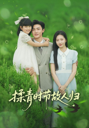 《揉青时节故人归》（60集）短剧免费看全集超爽