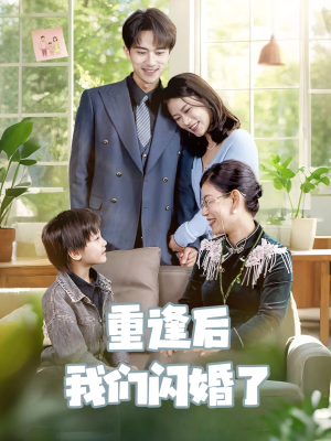 《重逢后我们闪婚了》（35集）短剧完整版免费在线观