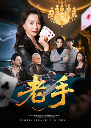 《老手》（36集）短剧免费畅看全集无阻