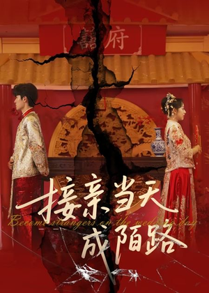 《接亲当天成陌路》（50集）在线免费短剧全集看