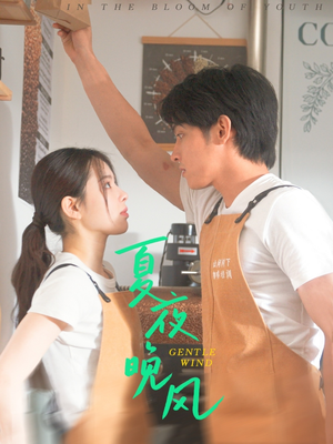 《夏夜晚风》（12集）畅享短剧全集在线观看