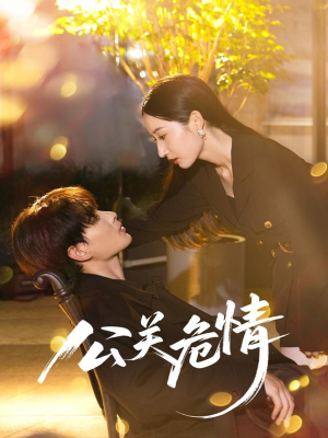 《公关危情》（60集）免费短剧全集尽情观