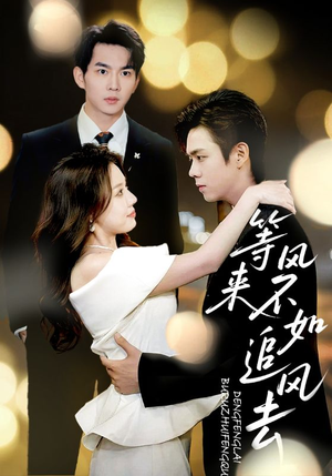 《等风来不如追风去》（72集）免费短剧在线一追到底