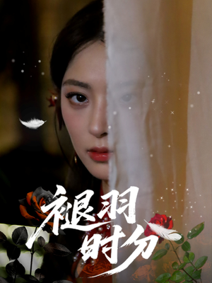 《褪羽时分》（61集）精彩短剧全集畅享观看