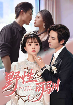 《野性可驯》（63集）短剧全集免费在线看